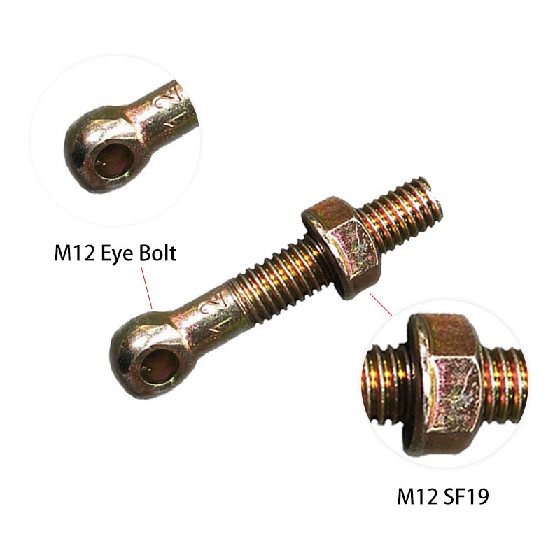 M12 Eye Bolt và M12 SF19